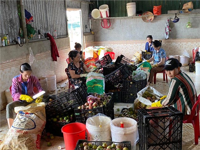 Agribank Đắk Nông: Hỗ trợ doanh nghiệp và hộ sản xuất vượt khó sau dịch Covid-19 (5/6/2020)
